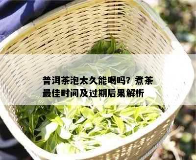 普洱茶泡太久能喝吗？煮茶更佳时间及过期后果解析