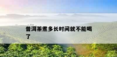 普洱茶煮多长时间就不能喝了