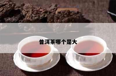 普洱茶哪个是大