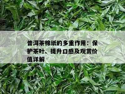 普洱茶棉纸的多重作用：保护茶叶、提升口感及观赏价值详解