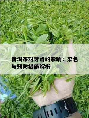 普洱茶对牙齿的影响：染色与预防措施解析