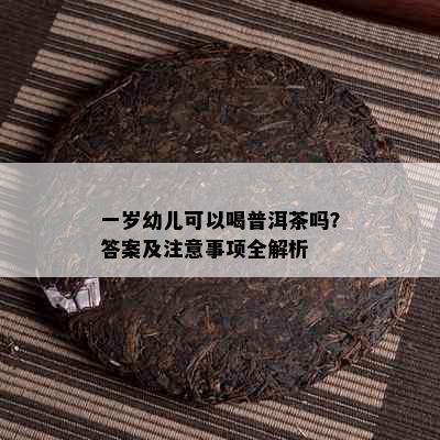 一岁幼儿可以喝普洱茶吗？答案及注意事项全解析