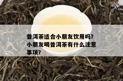 普洱茶适合小朋友饮用吗？小朋友喝普洱茶有什么注意事项？