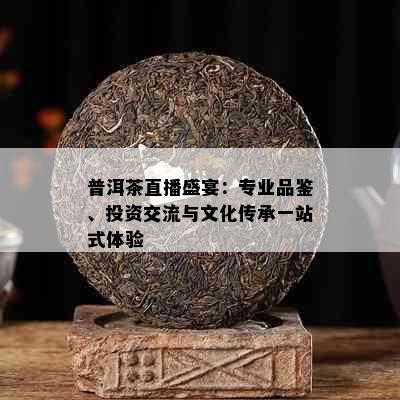 普洱茶直播盛宴：专业品鉴、投资交流与文化传承一站式体验