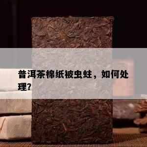 普洱茶棉纸被虫蛀，如何处理？