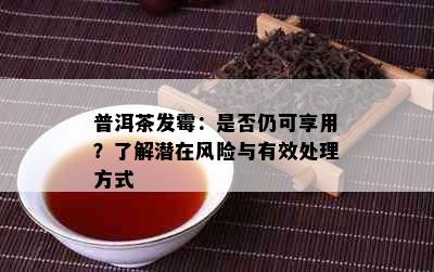 普洱茶发霉：是否仍可享用？了解潜在风险与有效处理方式