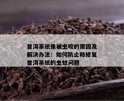 普洱茶纸像被虫咬的原因及解决办法：如何防止和修复普洱茶纸的虫蛀问题