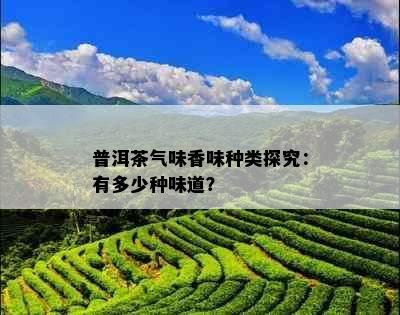 普洱茶气味香味种类探究：有多少种味道？