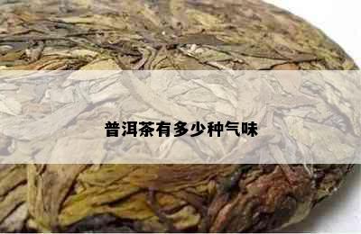 普洱茶有多少种气味