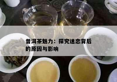 普洱茶魅力：探究迷恋背后的原因与影响