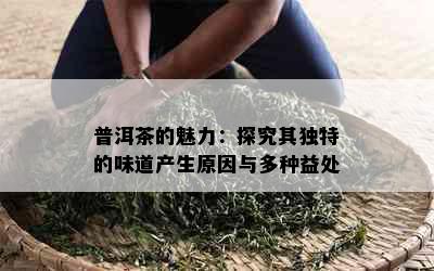 普洱茶的魅力：探究其独特的味道产生原因与多种益处