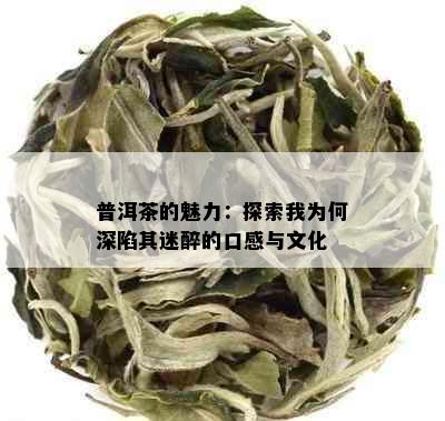 普洱茶的魅力：探索我为何深陷其迷醉的口感与文化