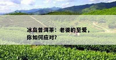 冰岛普洱茶：老婆的至爱，你如何应对？