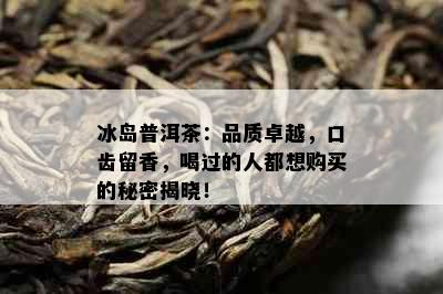 冰岛普洱茶：品质卓越，口齿留香，喝过的人都想购买的秘密揭晓！