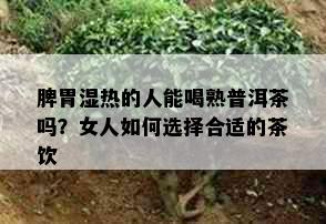 脾胃湿热的人能喝熟普洱茶吗？女人如何选择合适的茶饮