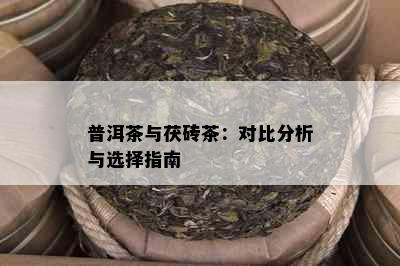 普洱茶与茯砖茶：对比分析与选择指南