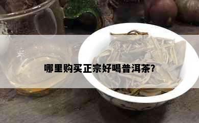 哪里购买正宗好喝普洱茶？