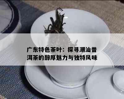 广东特色茶叶：探寻潮汕普洱茶的醇厚魅力与独特风味