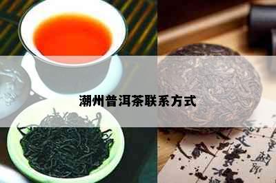 潮州普洱茶联系方式