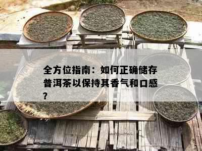 全方位指南：如何正确储存普洱茶以保持其香气和口感？