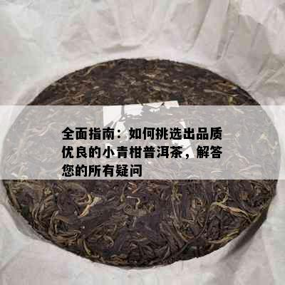 全面指南：如何挑选出品质优良的小青柑普洱茶，解答您的所有疑问