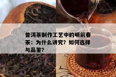 普洱茶制作工艺中的明前春茶：为什么讲究？如何选择与品鉴？