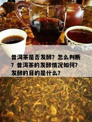 普洱茶是否发酵？怎么判断？普洱茶的发酵情况如何？发酵的目的是什么？