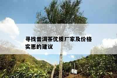 寻找普洱茶优质厂家及价格实惠的建议