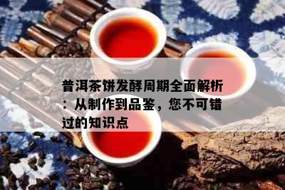 普洱茶饼发酵周期全面解析：从制作到品鉴，您不可错过的知识点