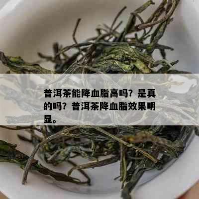 普洱茶能降血脂高吗？是真的吗？普洱茶降血脂效果明显。