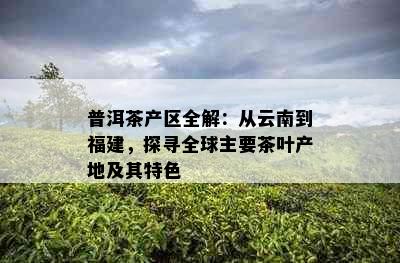 普洱茶产区全解：从云南到福建，探寻全球主要茶叶产地及其特色