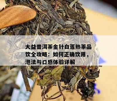 大益普洱茶金针白莲熟茶品饮全攻略：如何正确饮用，泡法与口感体验详解