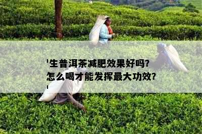 '生普洱茶减肥效果好吗？怎么喝才能发挥更大功效？'