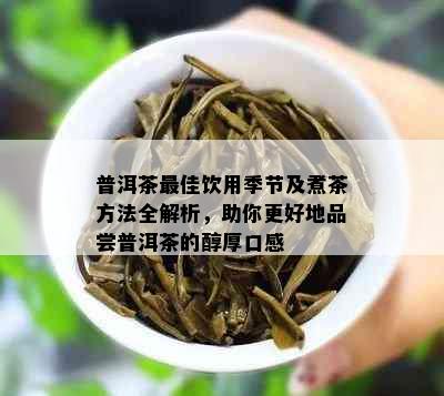 普洱茶更佳饮用季节及煮茶方法全解析，助你更好地品尝普洱茶的醇厚口感