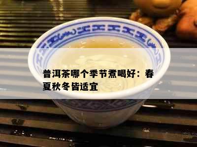 普洱茶哪个季节煮喝好：春夏秋冬皆适宜