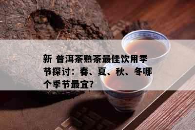 新 普洱茶熟茶更佳饮用季节探讨：春、夏、秋、冬哪个季节最宜？