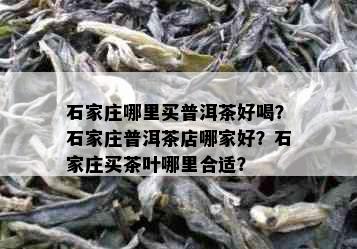 石家庄哪里买普洱茶好喝？石家庄普洱茶店哪家好？石家庄买茶叶哪里合适？