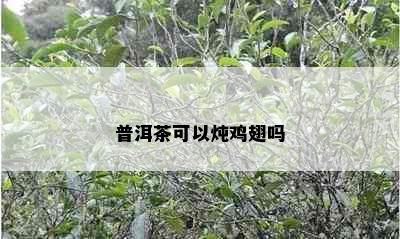 普洱茶可以炖鸡翅吗