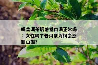 喝普洱茶后感觉口渴正常吗：女性喝了普洱茶为何会感到口渴？