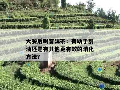 大餐后喝普洱茶：有助于刮油还是有其他更有效的消化方法？