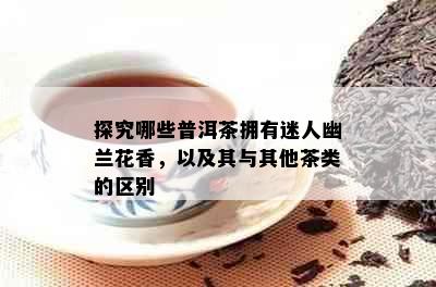 探究哪些普洱茶拥有迷人幽兰花香，以及其与其他茶类的区别