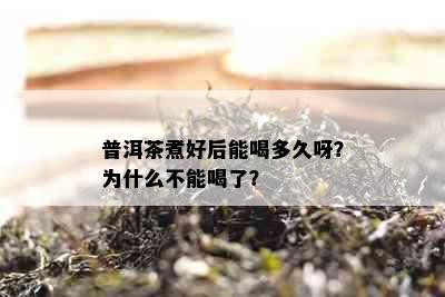 普洱茶煮好后能喝多久呀？为什么不能喝了？