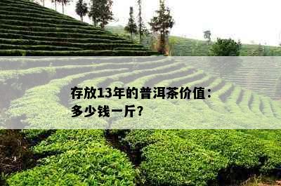 存放13年的普洱茶价值：多少钱一斤？