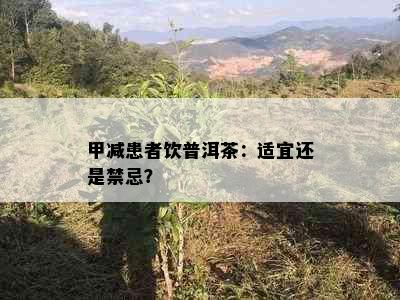 甲减患者饮普洱茶：适宜还是禁忌？