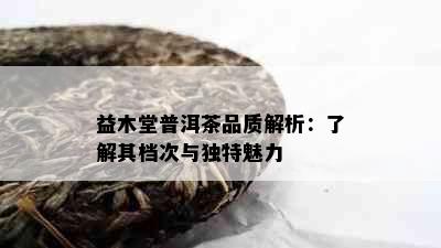 益木堂普洱茶品质解析：了解其档次与独特魅力