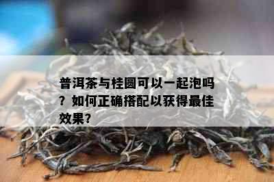 普洱茶与桂圆可以一起泡吗？如何正确搭配以获得更佳效果？