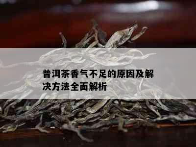 普洱茶香气不足的原因及解决方法全面解析