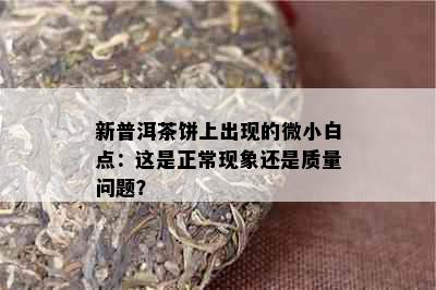 新普洱茶饼上出现的微小白点：这是正常现象还是质量问题？