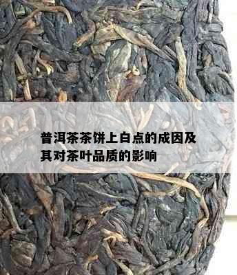 普洱茶茶饼上白点的成因及其对茶叶品质的影响