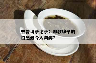 熟普洱茶沱茶：哪款牌子的口感最令人陶醉？